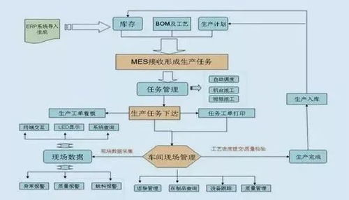 聚焦党代会丨新津这家企业终于打通 任督 二脉