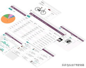 还在为信息化系统选型发愁么 免费开源企业信息化平台助力成功