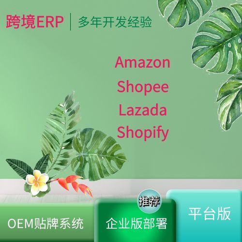 亚马逊店群系统虾皮无货源erp管理系统贴牌定制找鱼在跃